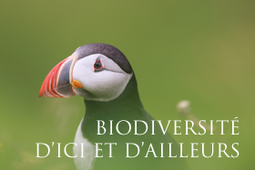 Conf Biodiversité d'ici et d'ailleurs VF copyright Arnaud Guérin - Lithosphere (1 sur 1)