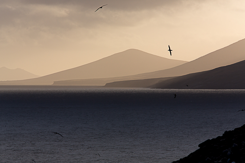 Falkland copyright Arnaud Guérin - Lithosphere (1 sur 10)