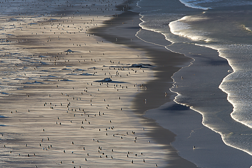 Falkland copyright Arnaud Guérin - Lithosphere (3 sur 10)