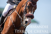 Conf Normandie Terre de cheval VF copyright Arnaud Guérin - Lithosphere (1 sur 1)