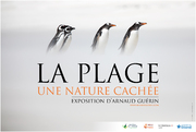 La Plage - Affiche 